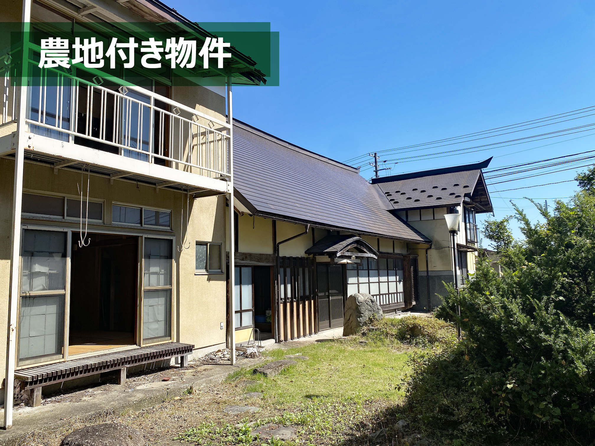 detached 永井野