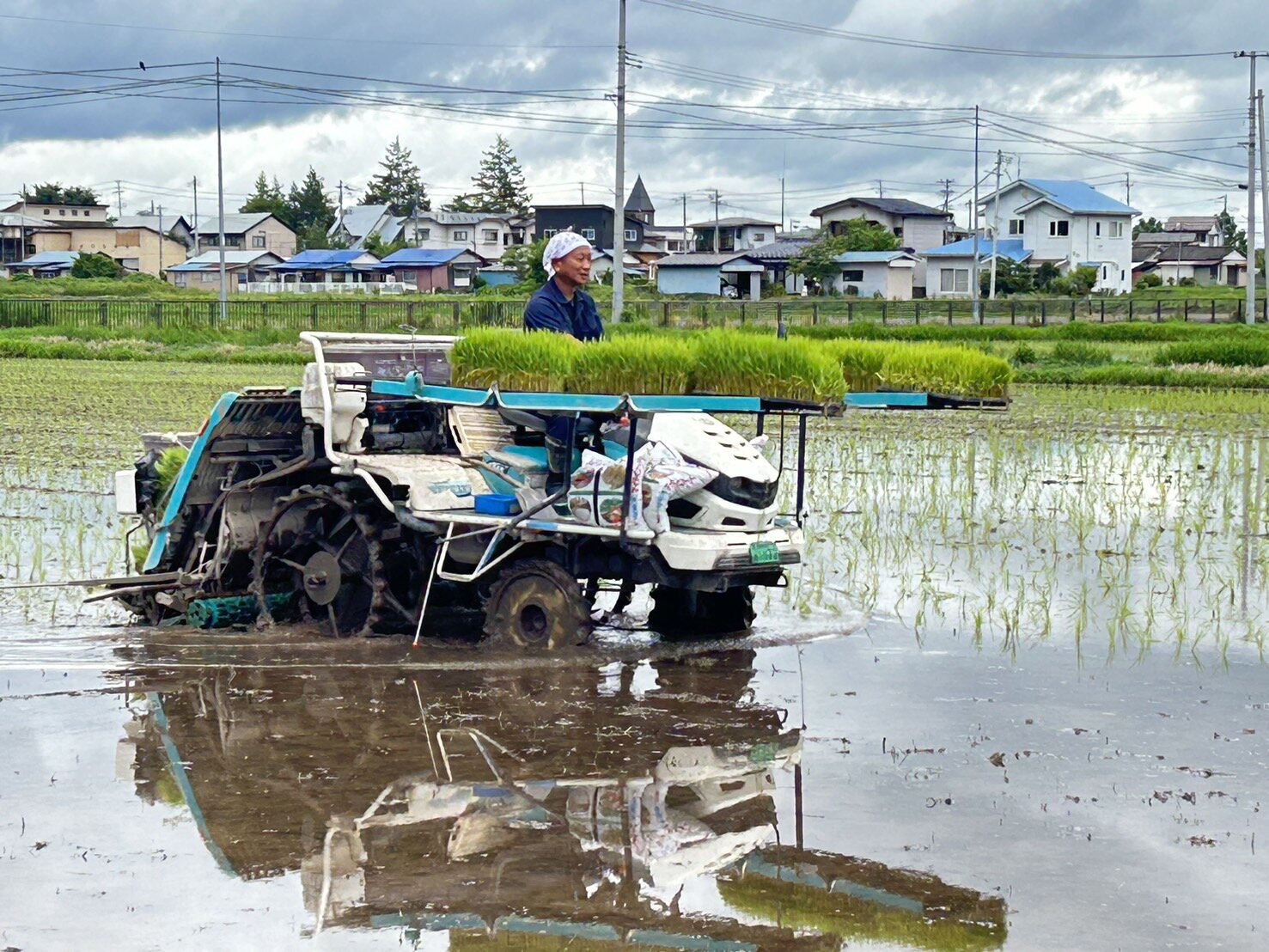 田植え機乗車.JPG